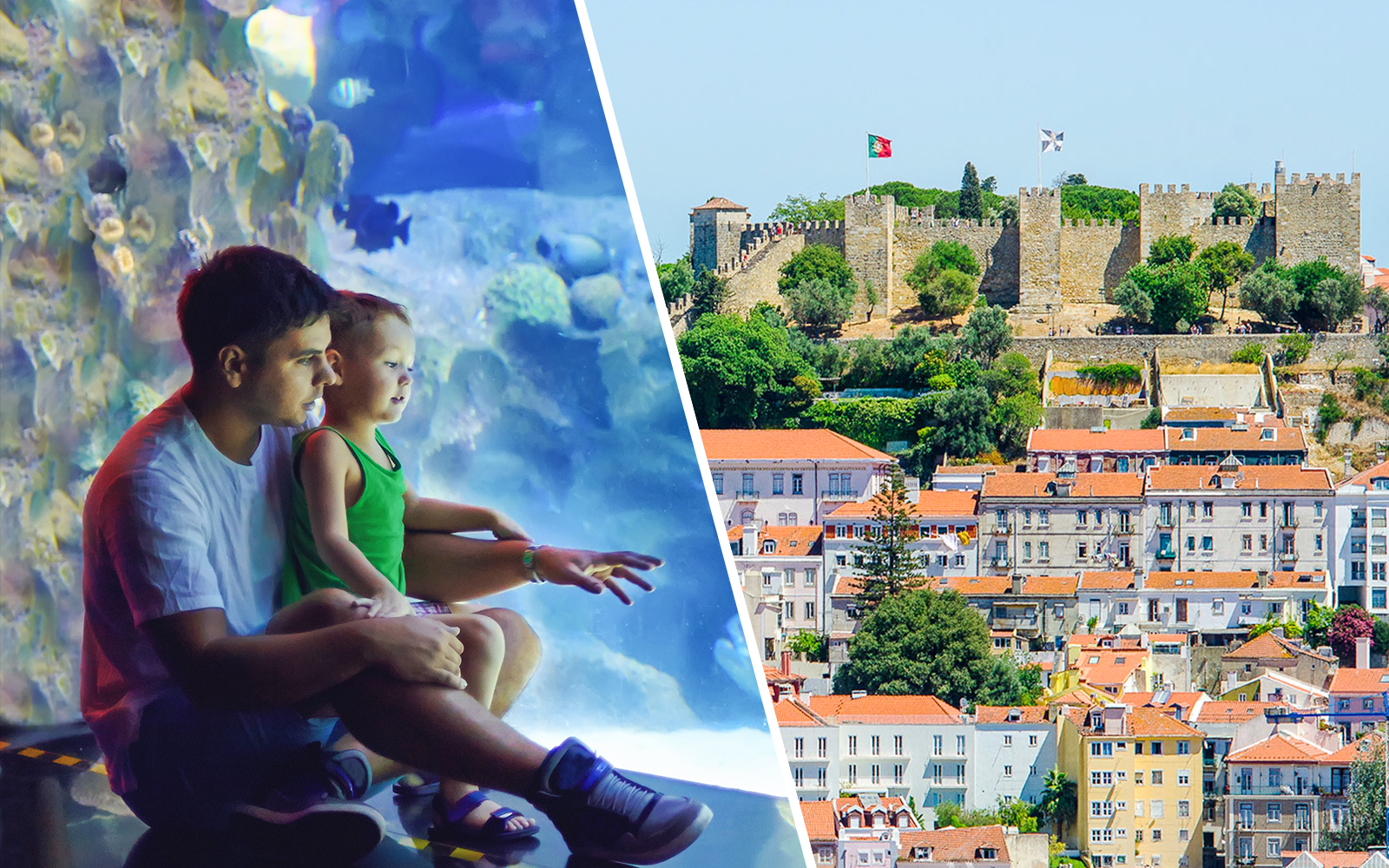 Combo: Lisbon Oceanarium + St. George’s Castle Tickets