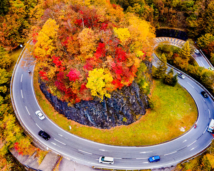 Nikko Autumn Foliage, Kegon Falls & Toshogu Shrine Day Tour from Tokyo