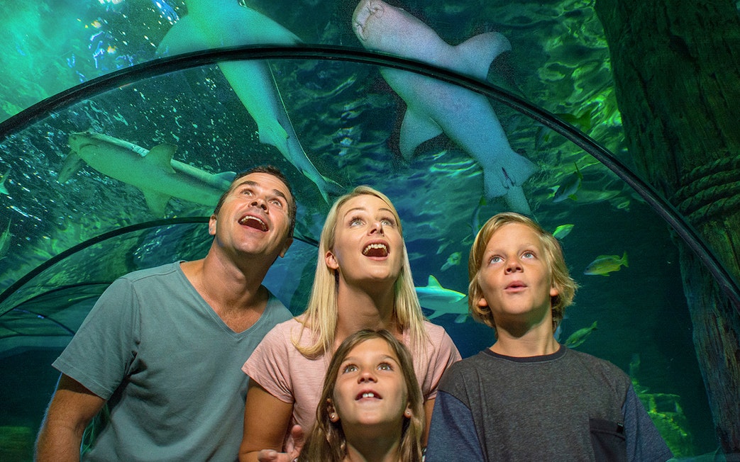 A family at SEA LIFE Sunshine Coast