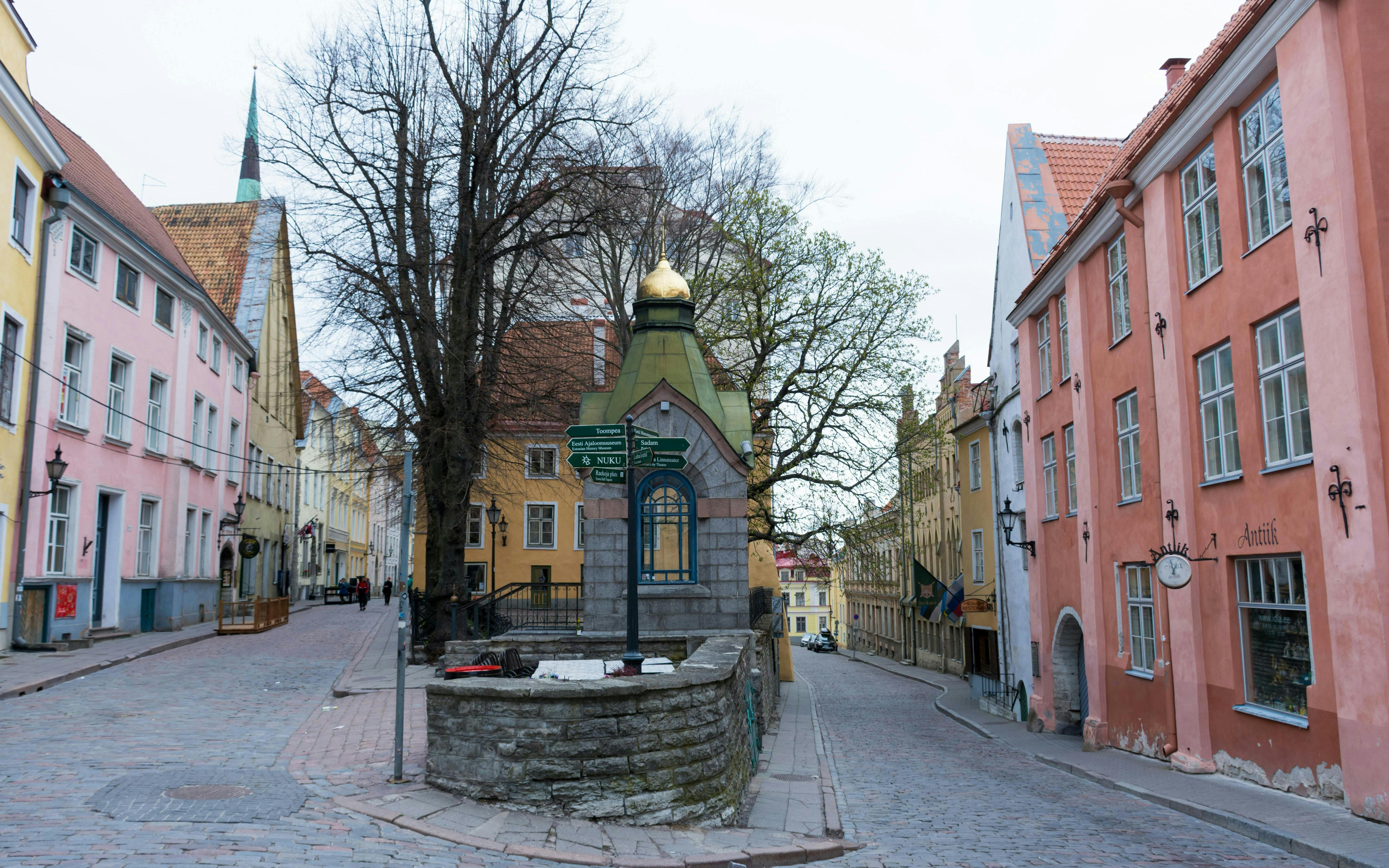Pikk Tanav