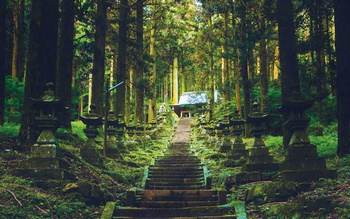 full-day guided tour of takachiho gorge & miyazaki from fukuoka with lunch-6 full-day guided tour of takachiho gorge & miyazaki from fukuoka with lunch-6