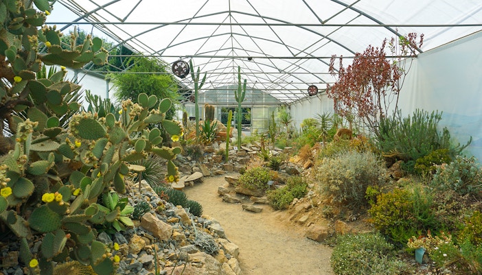 Cactus greenhouse in the Prague Botanical Gardens