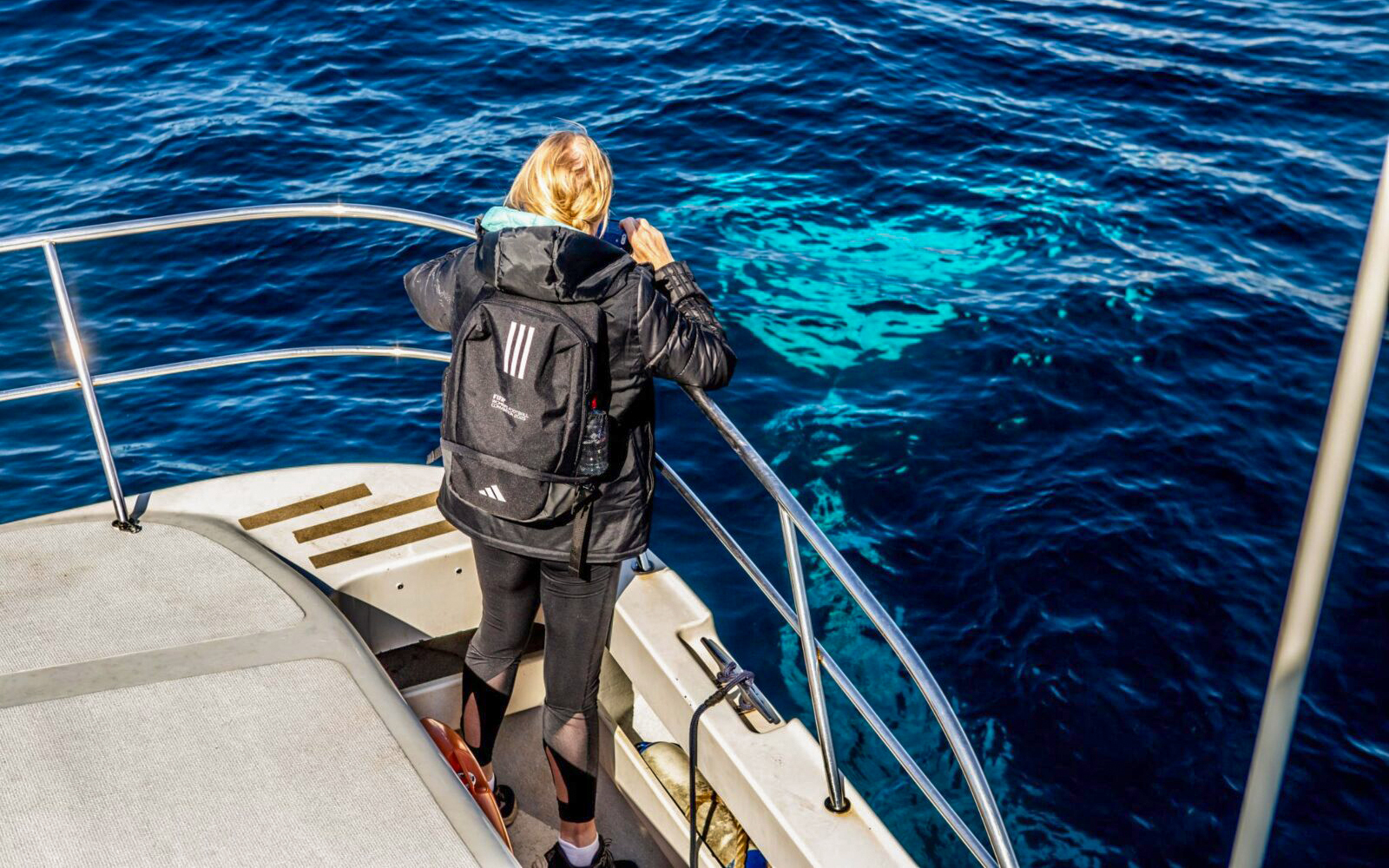 Person on boat watching ocean during whale tour.