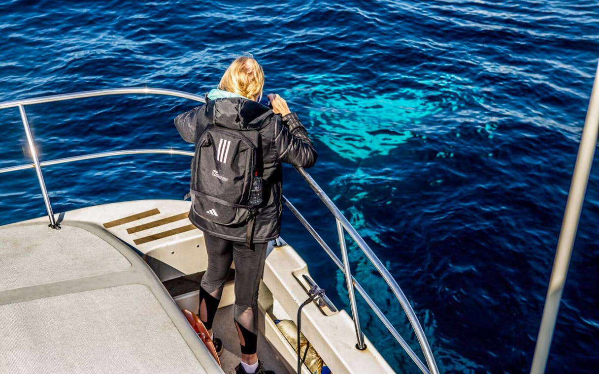 Person on boat watching ocean during whale tour.