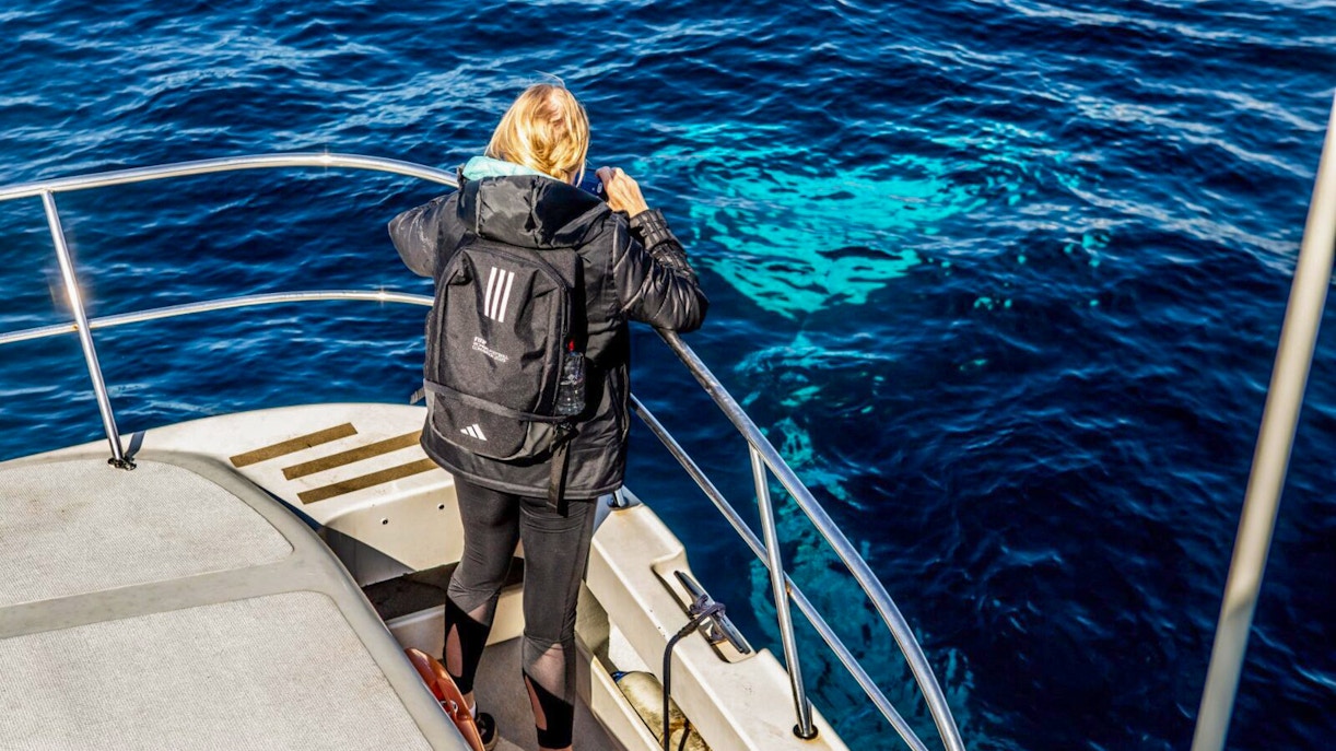 Person on boat watching ocean during whale tour.