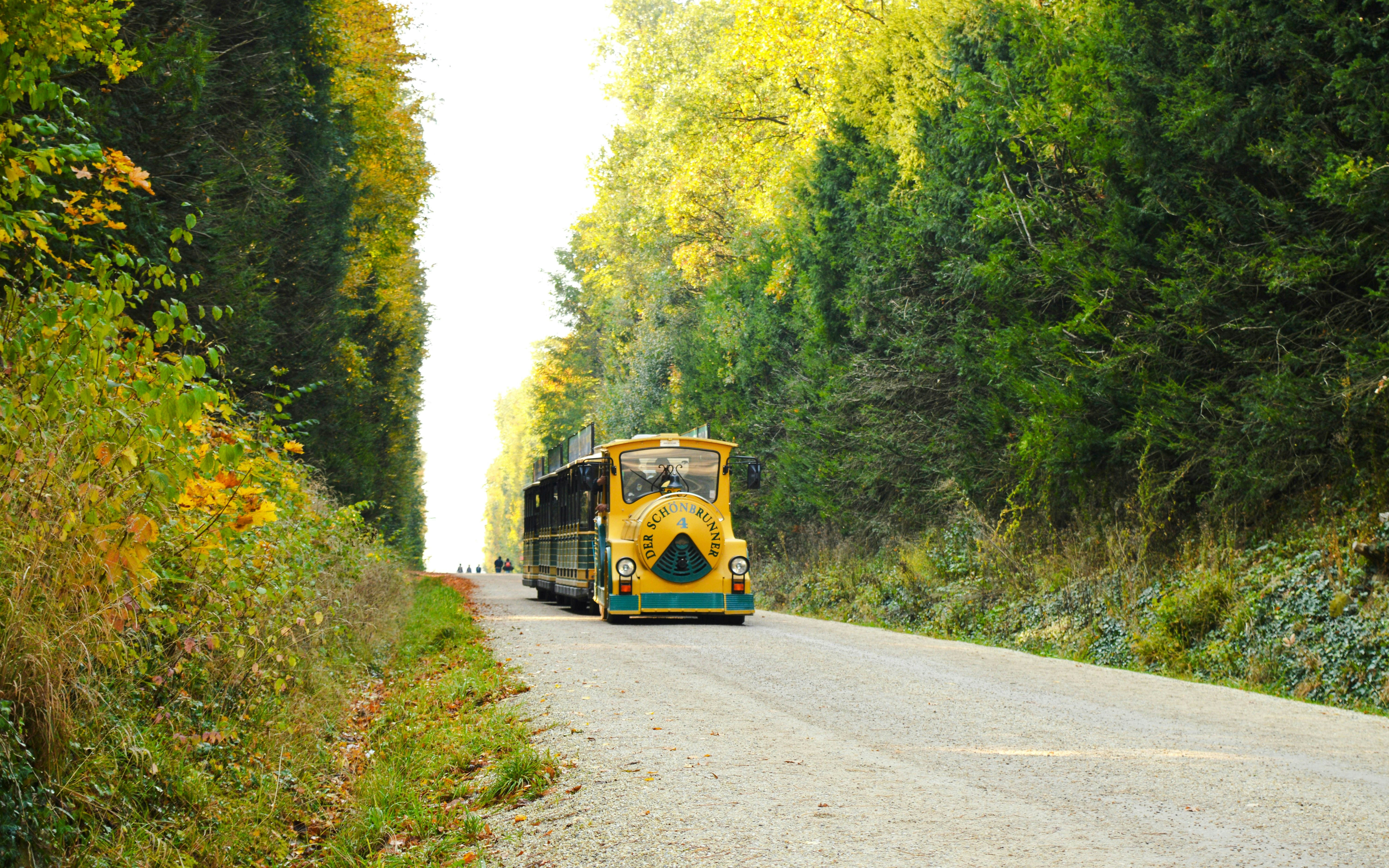 Panoramabahn Schönbrunn tram on a tree-lined path in Vienna.