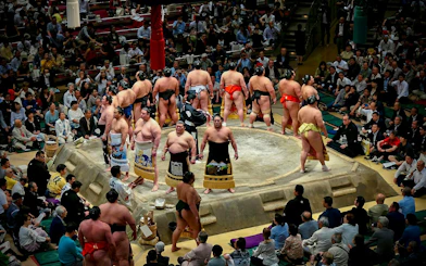 Sumo wrestlers in circular formation at Grand Sumo Tournament, Japan.