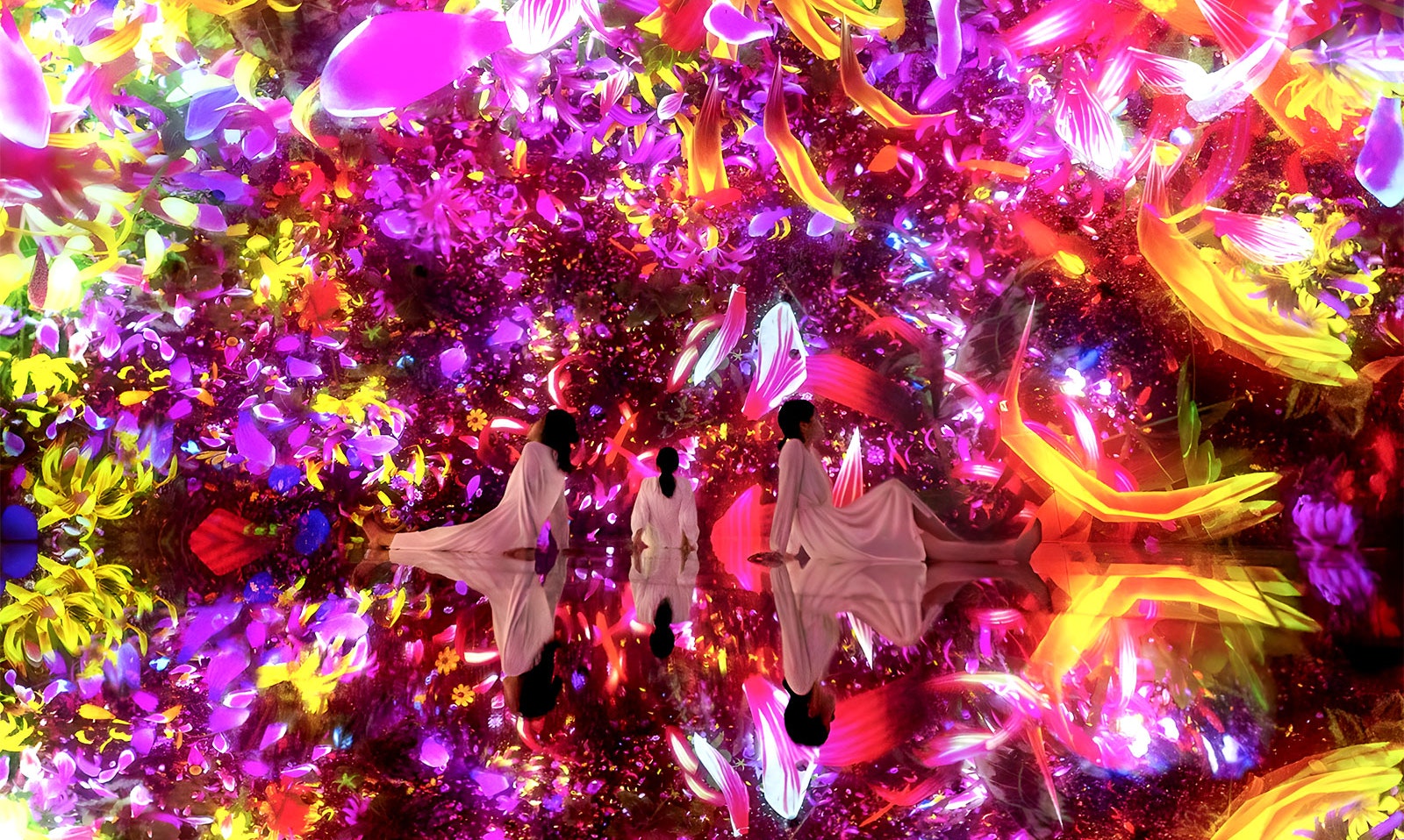 Doge's Palace Guided Tours