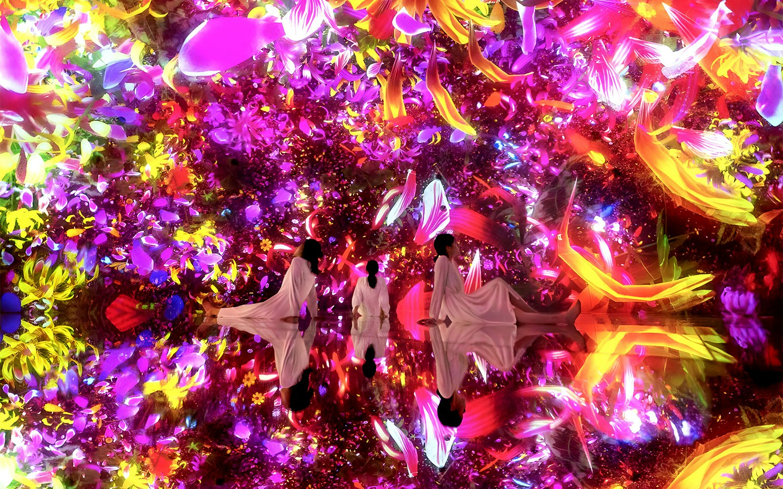 Visitors exploring interactive digital art installation at teamLab Planets, Tokyo.