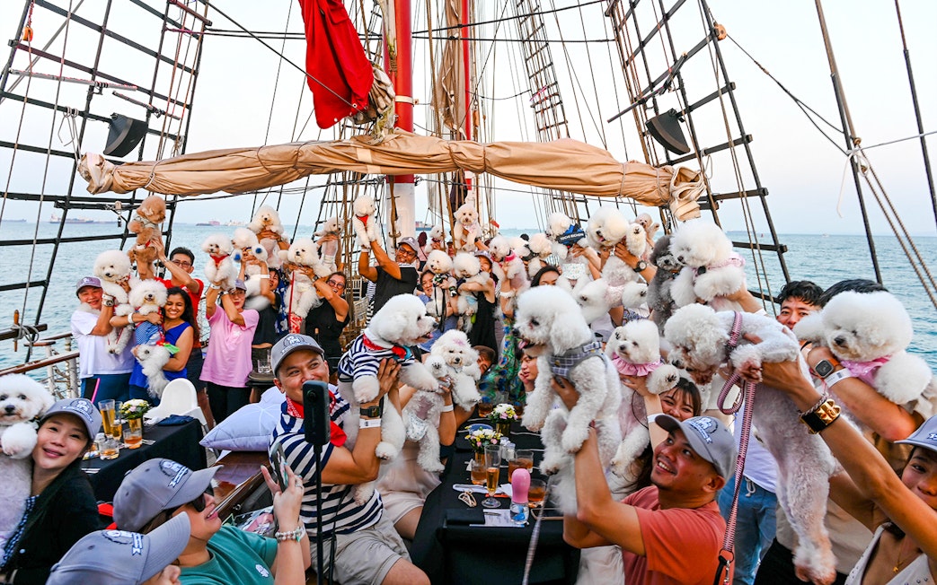Guests with dogs on the Royal Albatross during a sunset dinner cruise.