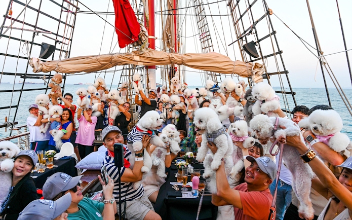 Guests with dogs on the Royal Albatross during a sunset dinner cruise.