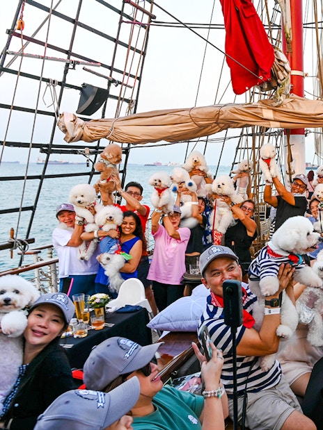 Guests with dogs on the Royal Albatross during a sunset dinner cruise.