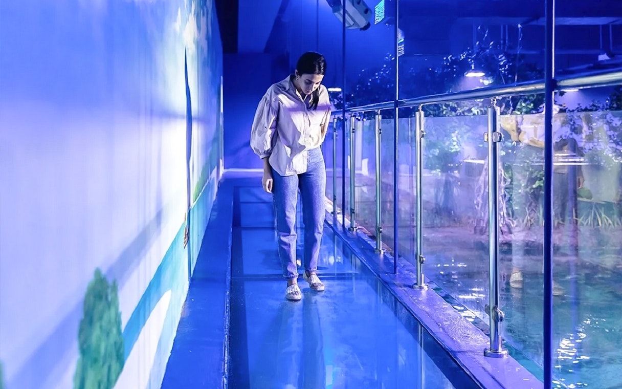 Visitor walking on glass floor at National Aquarium Abu Dhabi.