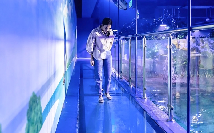 Visitor walking on glass floor at National Aquarium Abu Dhabi.