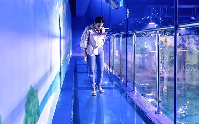 Visitor walking on glass floor at National Aquarium Abu Dhabi.