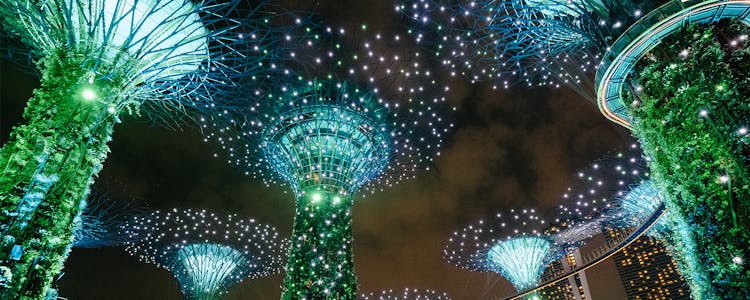 Gardens by the Bay Christmas - Blizzard Time