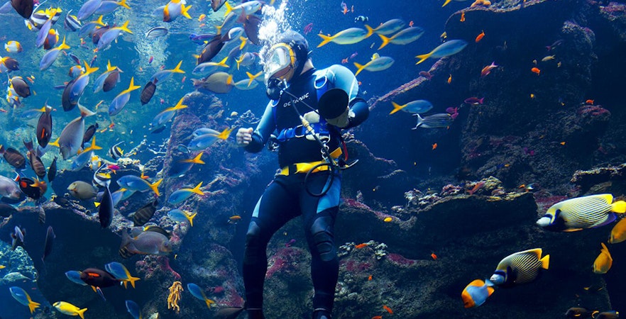 Kalifornische Akademie der Wissenschaften