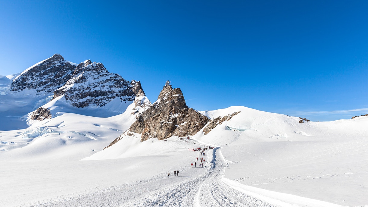Monte Jungfrau | Una montagna maestosa nell'Oberland Bernese