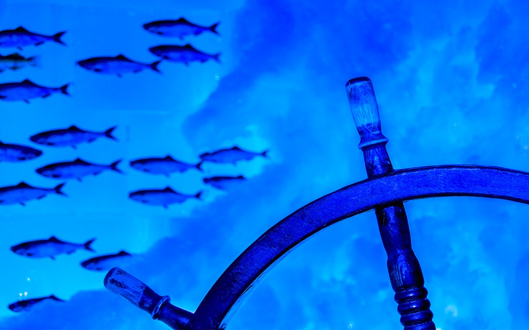 Steering wheel and fish in blue-lit Icebar Amsterdam.