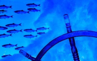 Steering wheel and fish in blue-lit Icebar Amsterdam.