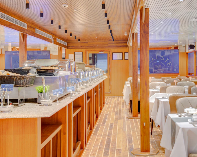 Dubai Marina Dinner Cruise with International Buffet and Live Entertainment