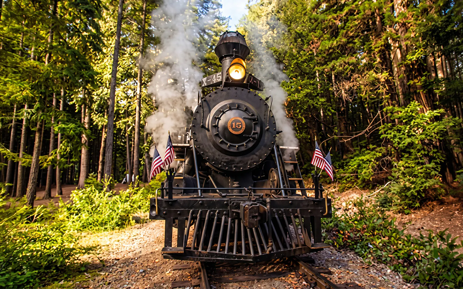 Steam locomotive on Fort Bragg's Pudding Creek Express surrounded by forest.