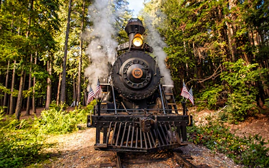 Steam locomotive on Fort Bragg's Pudding Creek Express surrounded by forest.
