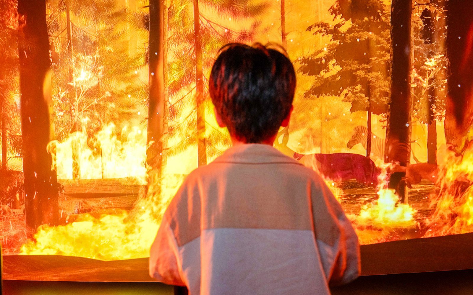 Child observing forest fire exhibit at Better World Better Future event.