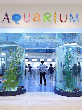 Entrance of Coex Aquarium with visitors and large fish tanks, Seoul, South Korea.