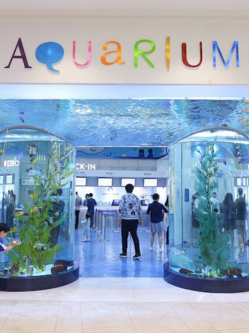 Entrance of Coex Aquarium with visitors and large fish tanks, Seoul, South Korea.