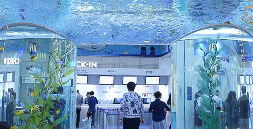 Coex Aquarium