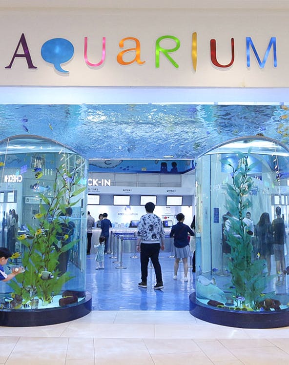 Entrance of Coex Aquarium with visitors and large fish tanks, Seoul, South Korea.
