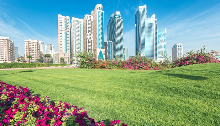 WhatsApp in Dubai -ToTok