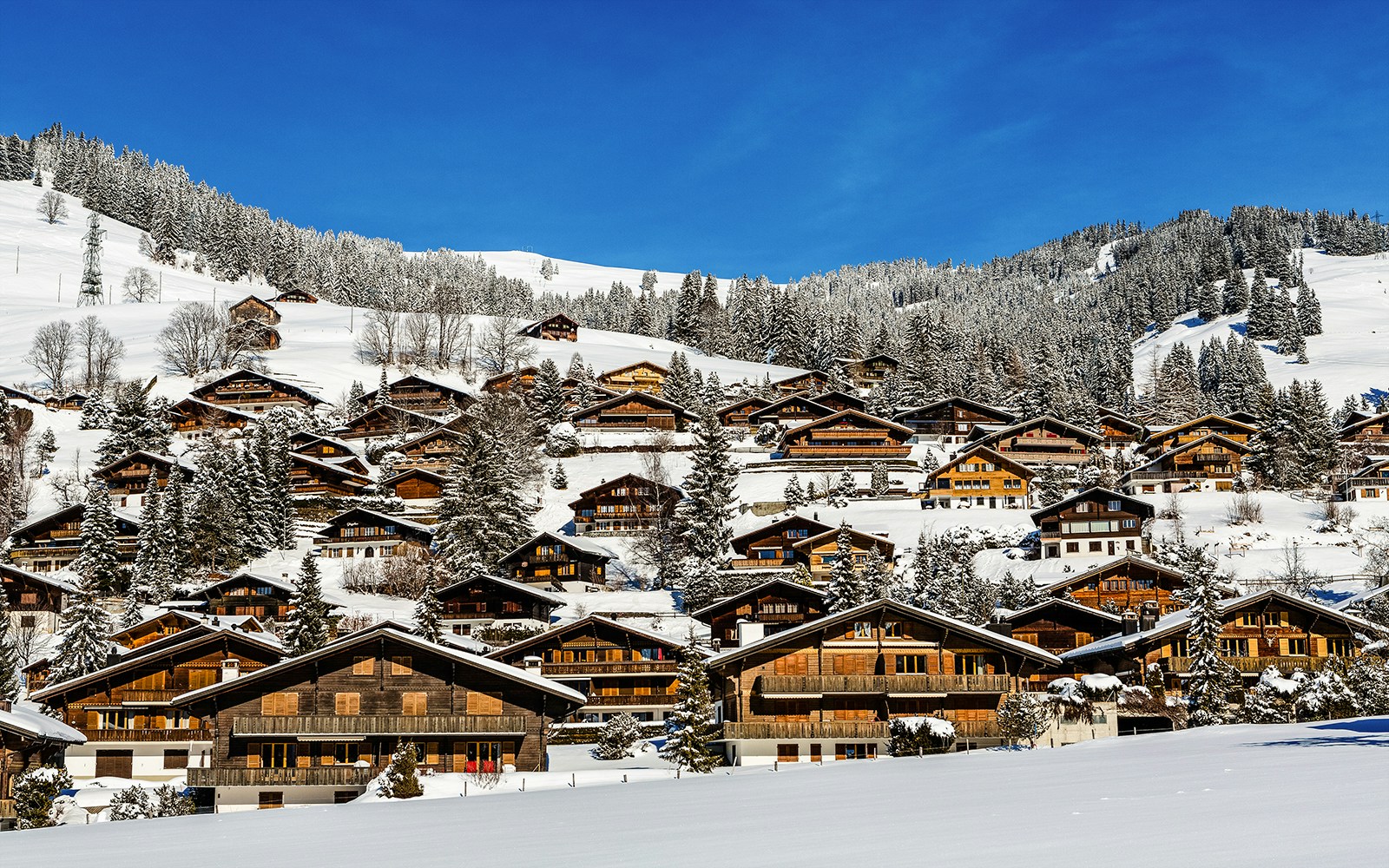 Gstaad mountain village with holiday apartments and scenic Swiss Alps view.