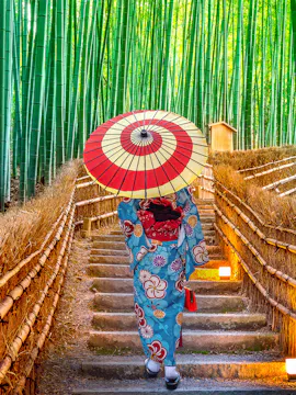 Excursões de um dia a Kyoto saindo de Osaka