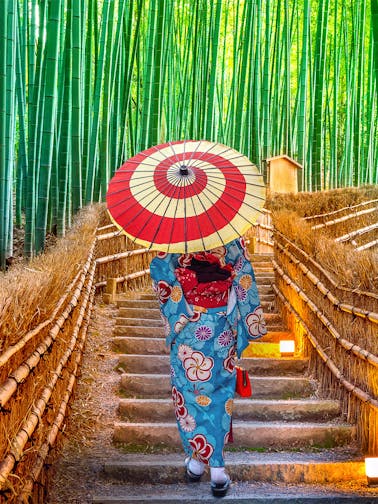 Kyoto Day Tours