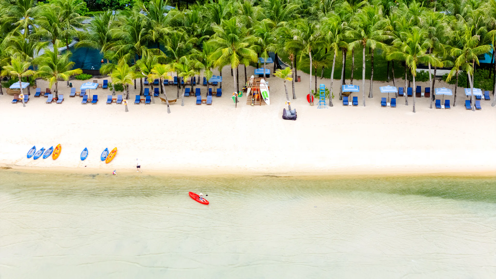 Beachfront with kayaks and lounge chairs under palm trees, Phu Quoc Sunset Tour.
