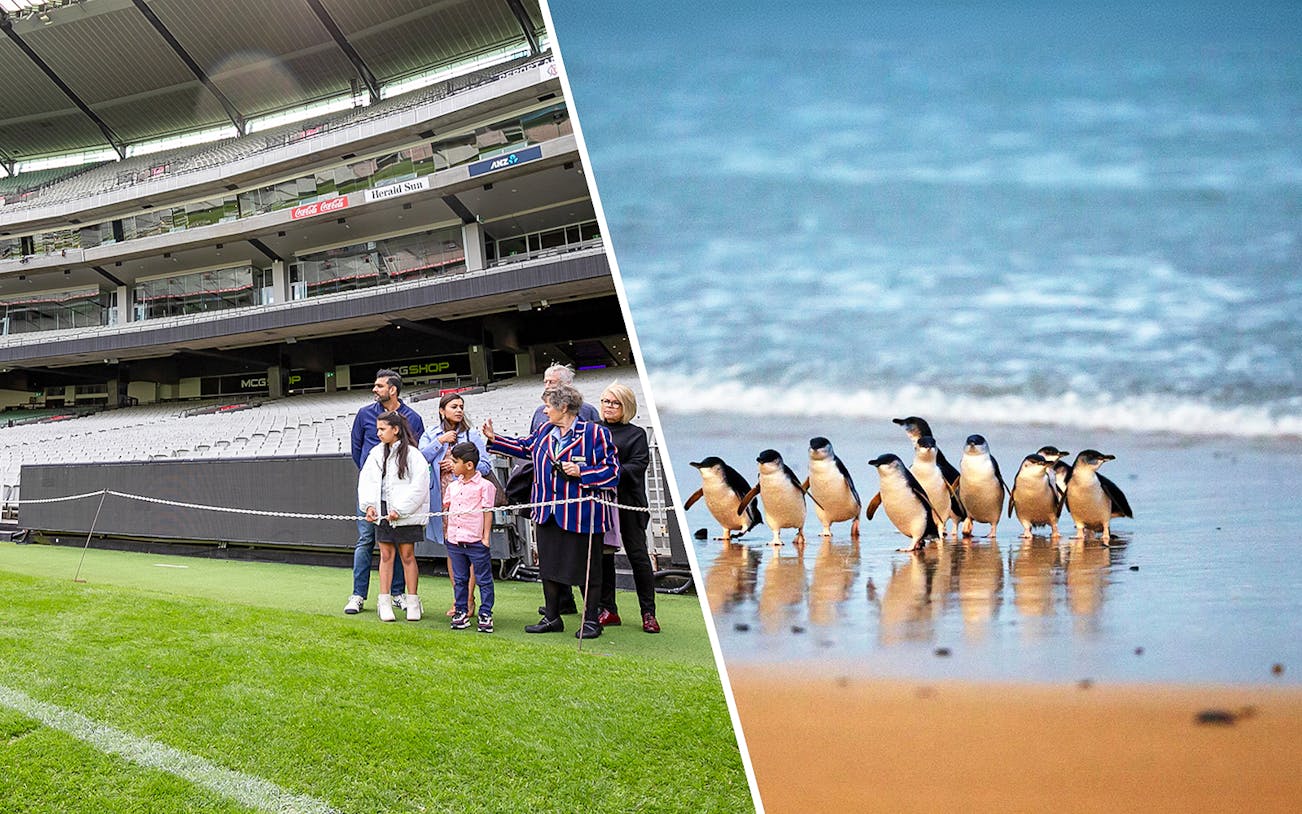 Tour group at Melbourne Cricket Ground and penguins on Phillip Island beach.