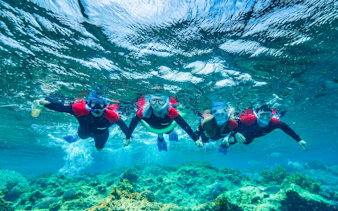 Snorkelers exploring coral reefs in Rottnest Island waters.