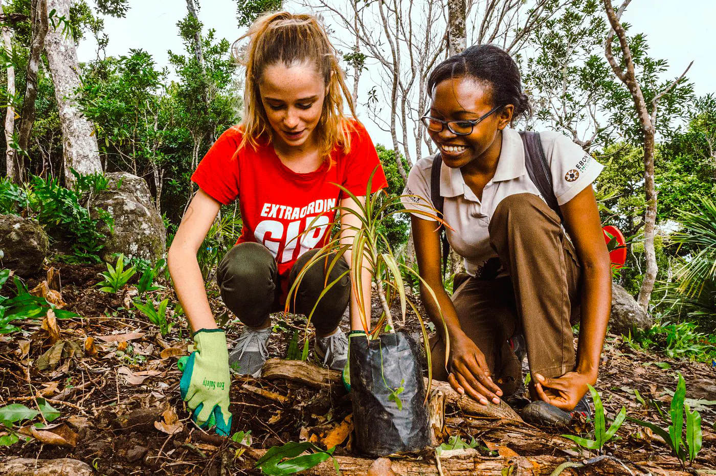 chamarel private tour: ebony forest jeep safari, seven coloured earth & waterfall with lunch-1