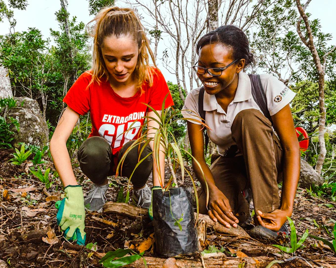 Chamarel Private Tour: Ebony Forest Jeep Safari, Seven Coloured Earth & Waterfall with Lunch