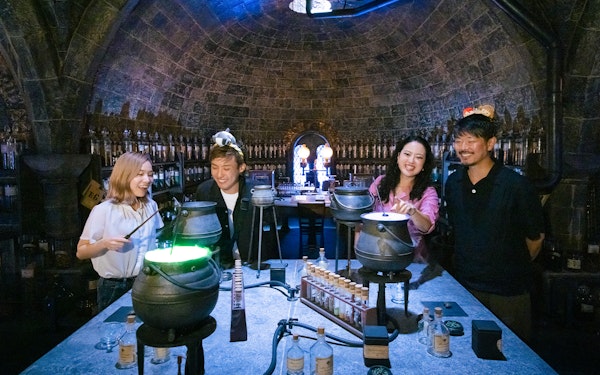 Tickets to Warner Bros. Studio Tour Tokyo - The Making of Harry Potter + Tokyo Subway Access
