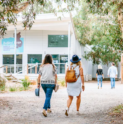 11 essential tips to visit Phillip Island Nature Park
