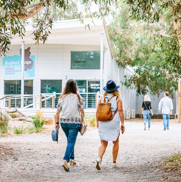 11 essential tips to visit Phillip Island Nature Park