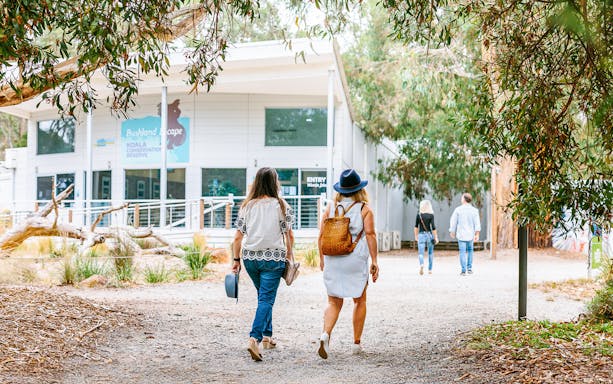 Visitors entering Koala Conservation Reserve, Phillip Island.