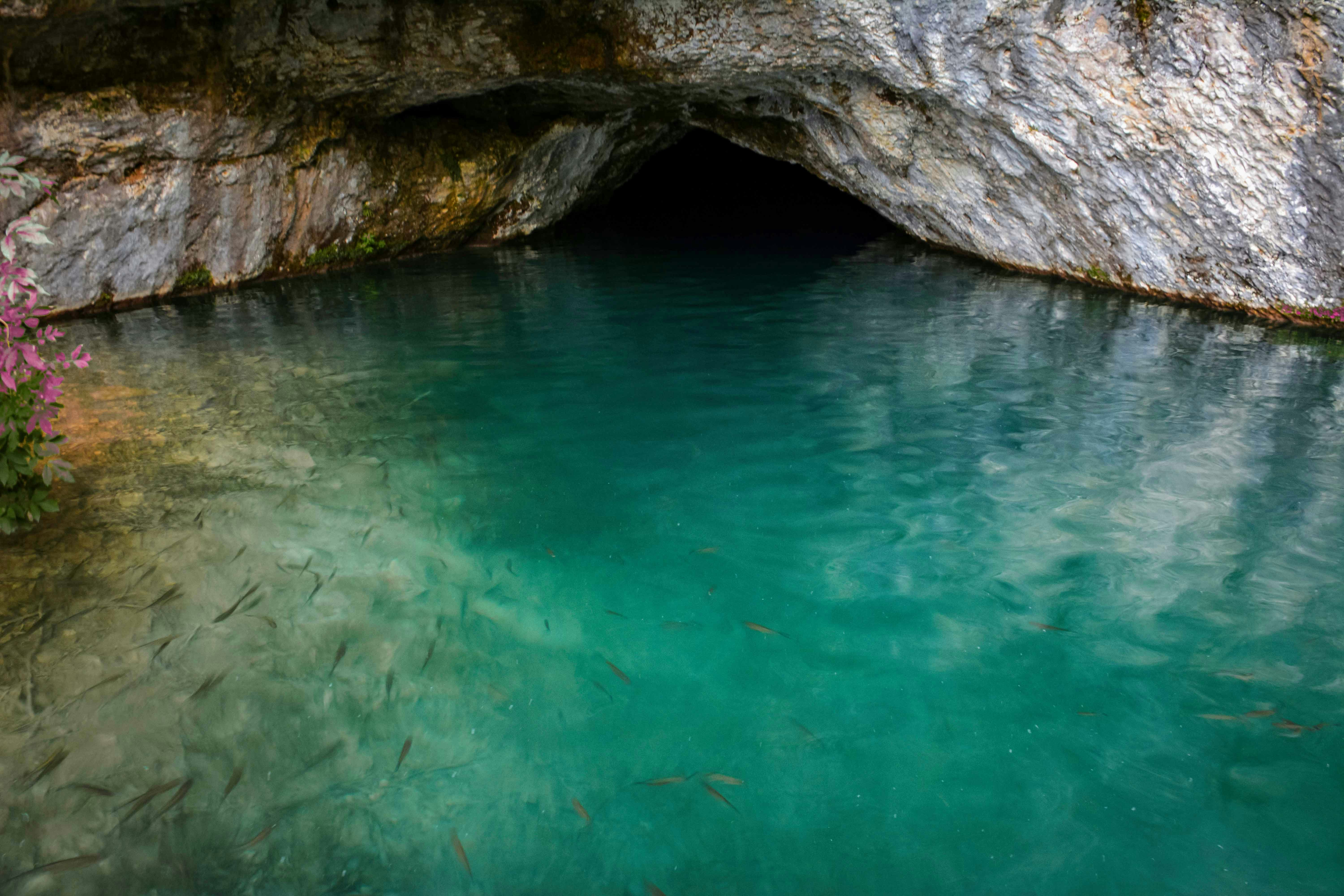 Entrance to a green cave with clear turquoise water and rocky walls.