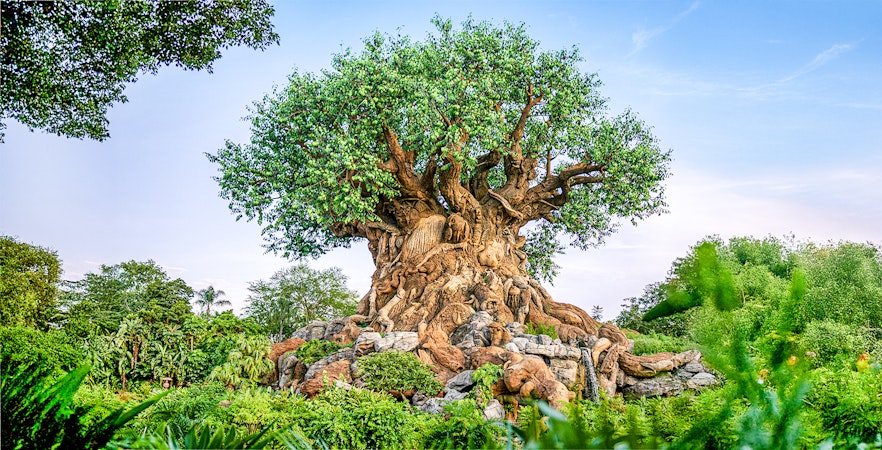 Disney's Animal Kingdom, Orlando