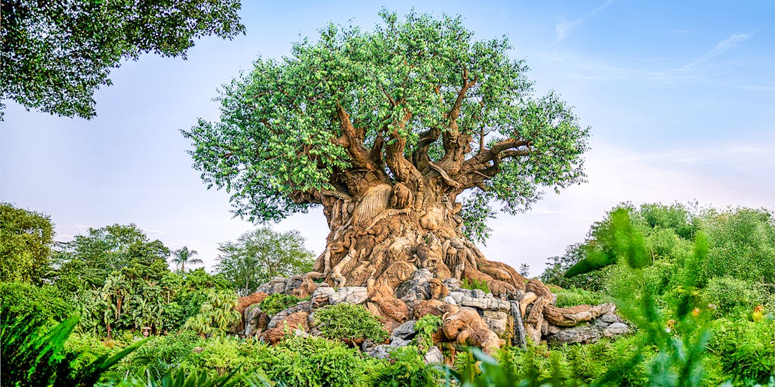 Disney's Animal Kingdom