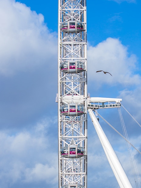 London Eye capsules against a cloudy sky.