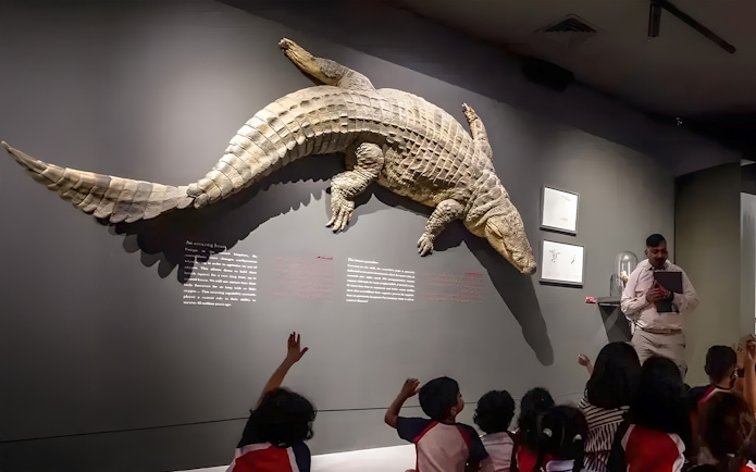 Educator leading a session with children at Dubai Crocodile Park, large crocodile display on wall.